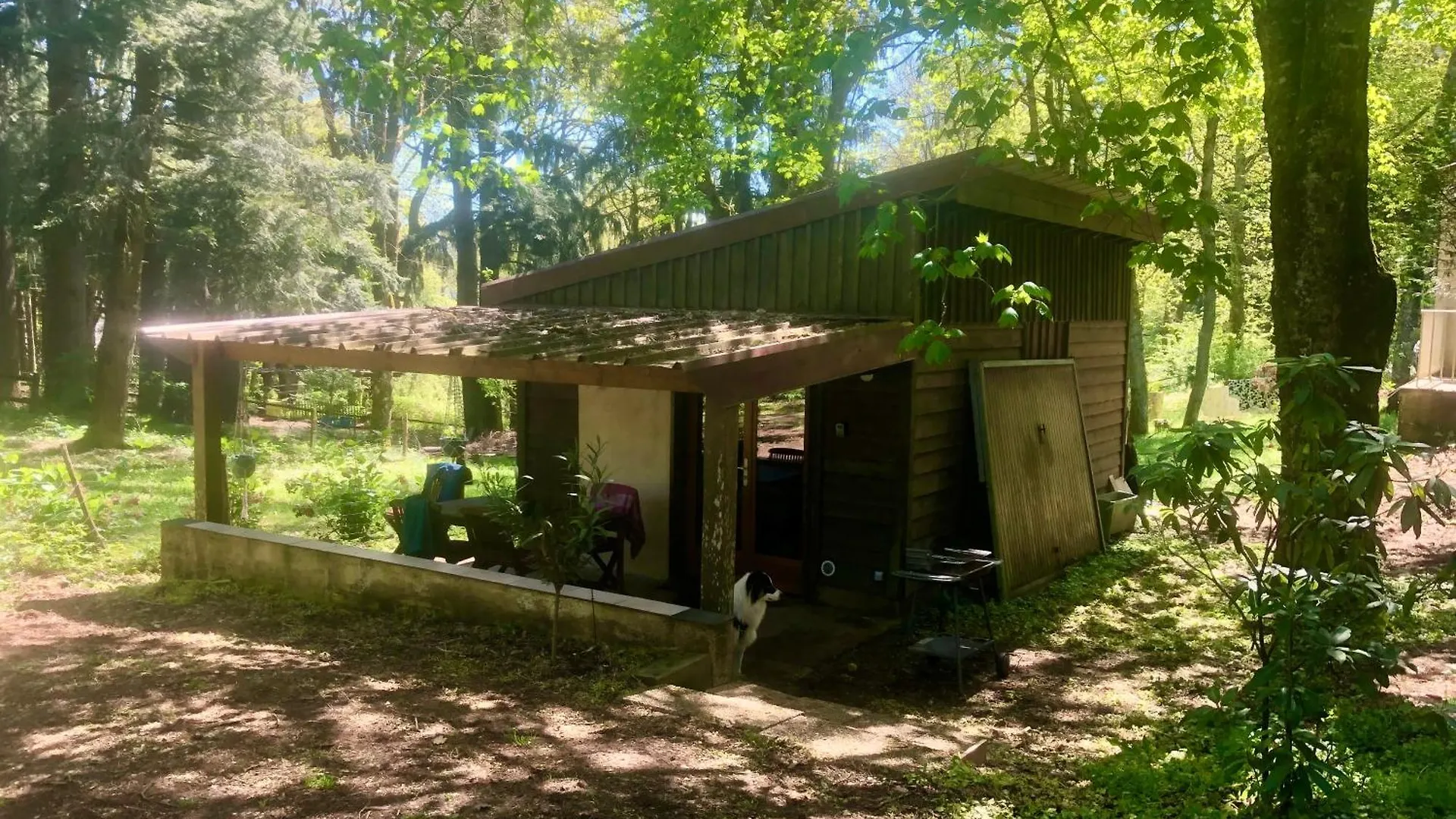 Apartment La Cabane Mazamet